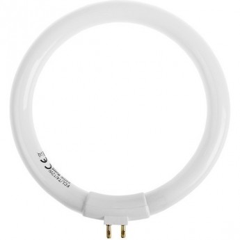 Лампа кольцевая люминесцентная REXANT 12Вт для 31-0242 (8092) Лампа кольцевая люминесцентная REXANT 12Вт для 31-0242 (8092)